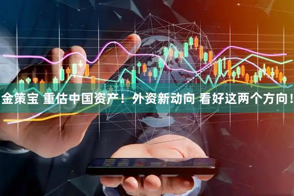 金策宝 重估中国资产！外资新动向 看好这两个方向！