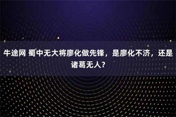 牛途网 蜀中无大将廖化做先锋，是廖化不济，还是诸葛无人？