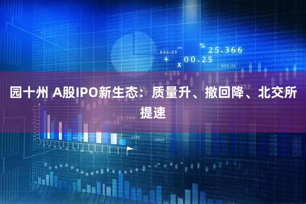 园十州 A股IPO新生态：质量升、撤回降、北交所提速