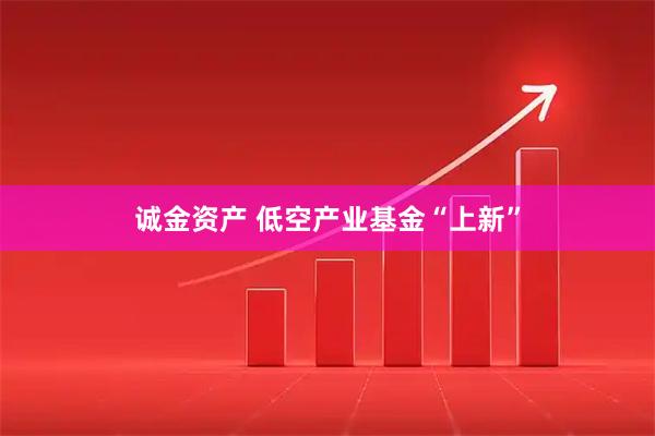 诚金资产 低空产业基金“上新”
